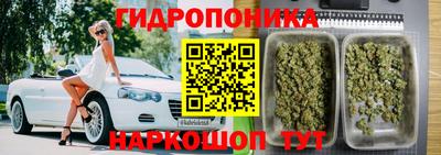 альфа пвп Бийск